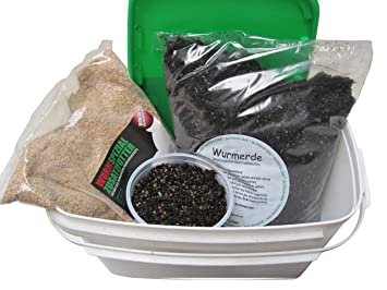 PEYOTE CACTUS GROW KIT (LOPHOPHORA WILLIAMSII)